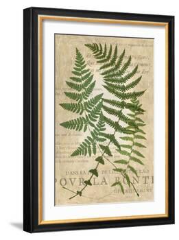 Fern Folio I-Vision Studio-Framed Art Print