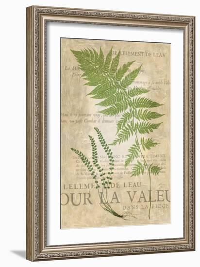 Fern Folio II-Vision Studio-Framed Art Print