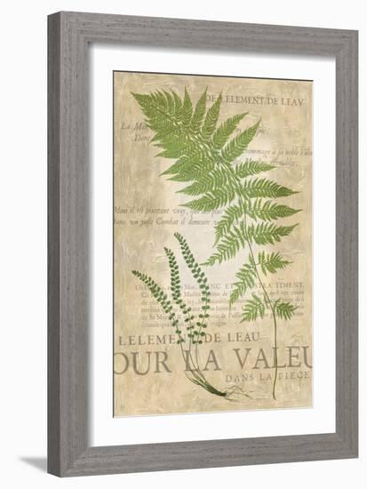 Fern Folio II-Vision Studio-Framed Art Print