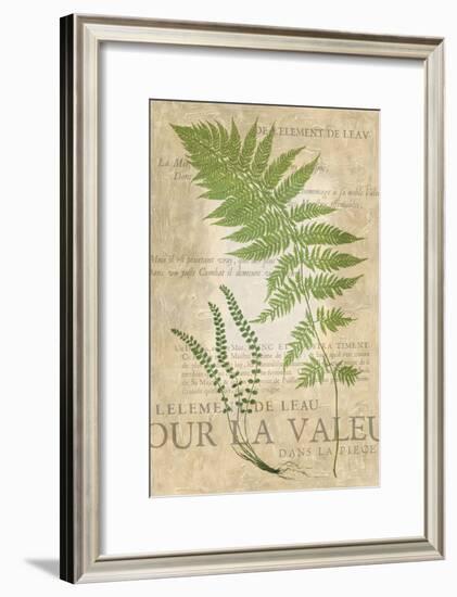 Fern Folio II-Vision Studio-Framed Art Print