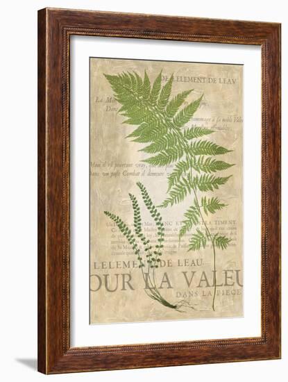 Fern Folio II-Vision Studio-Framed Art Print