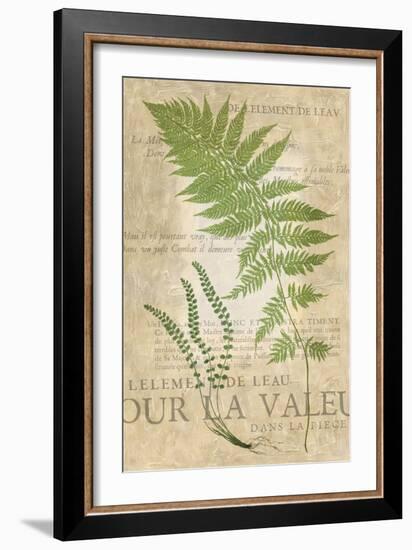 Fern Folio II-Vision Studio-Framed Art Print