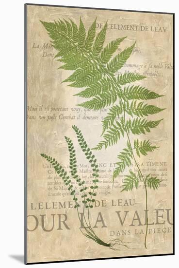 Fern Folio II-Vision Studio-Mounted Art Print