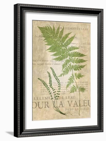 Fern Folio II-Vision Studio-Framed Art Print