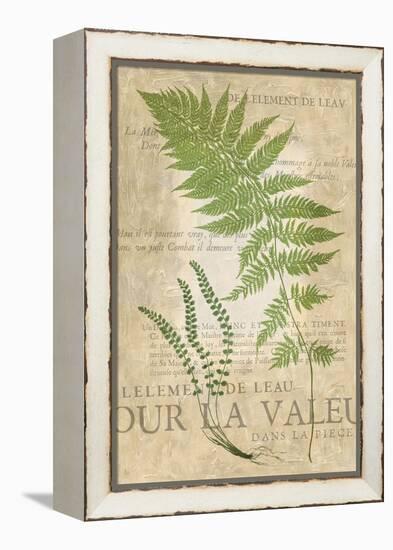 Fern Folio II-Vision Studio-Framed Stretched Canvas