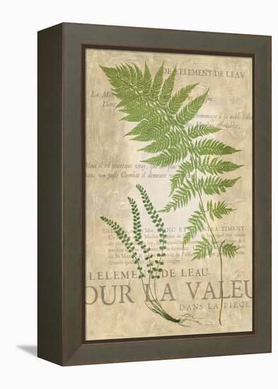 Fern Folio II-Vision Studio-Framed Stretched Canvas