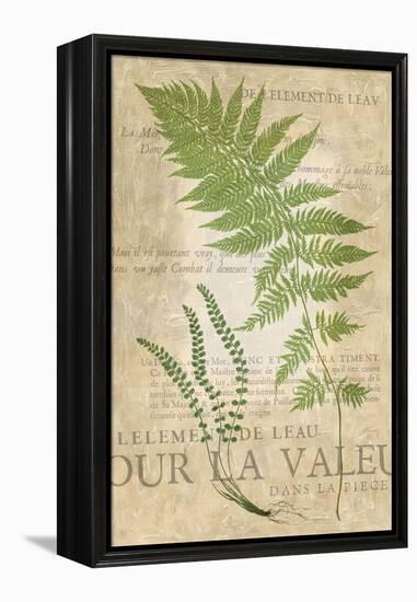 Fern Folio II-Vision Studio-Framed Stretched Canvas