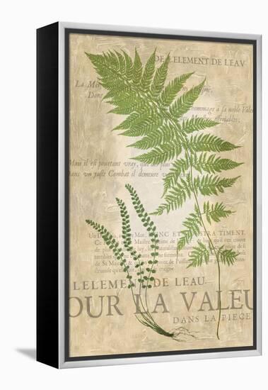 Fern Folio II-Vision Studio-Framed Stretched Canvas