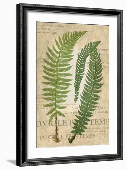 Fern Folio III-Vision Studio-Framed Art Print