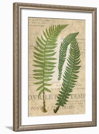 Fern Folio III-Vision Studio-Framed Art Print