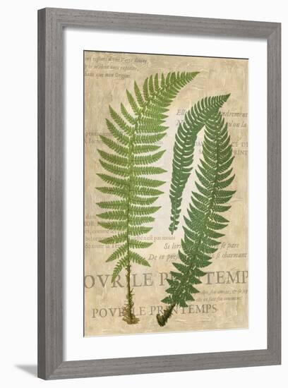 Fern Folio III-Vision Studio-Framed Art Print