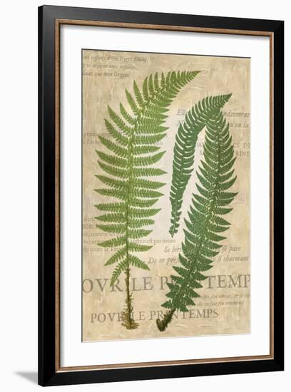 Fern Folio III-Vision Studio-Framed Art Print