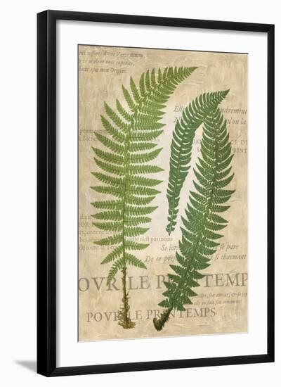 Fern Folio III-Vision Studio-Framed Art Print