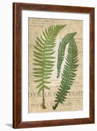 Fern Folio III-Vision Studio-Framed Art Print