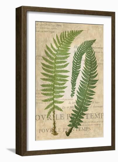 Fern Folio III-Vision Studio-Framed Art Print