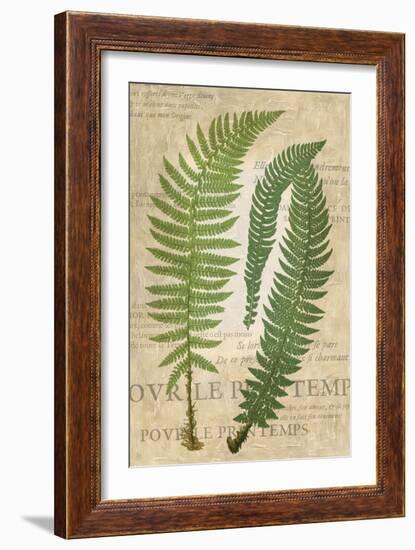 Fern Folio III-Vision Studio-Framed Art Print