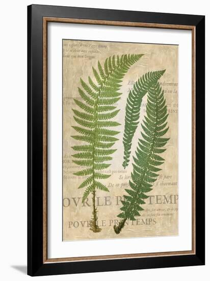 Fern Folio III-Vision Studio-Framed Art Print