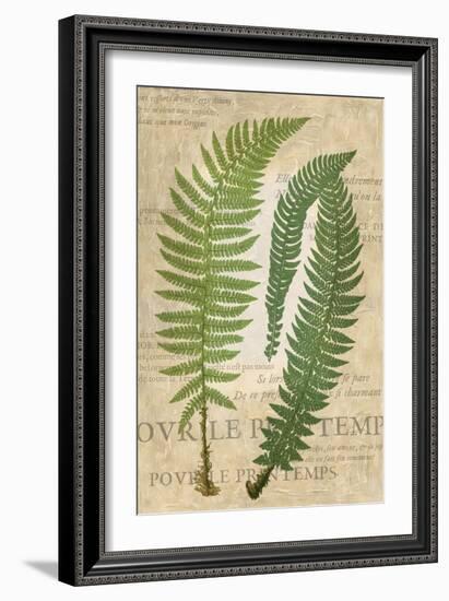 Fern Folio III-Vision Studio-Framed Art Print