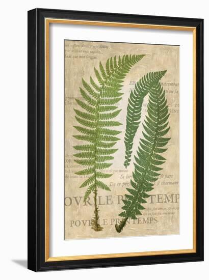 Fern Folio III-Vision Studio-Framed Art Print