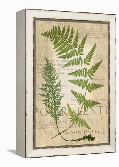 Fern Folio IV-Vision Studio-Framed Stretched Canvas