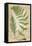 Fern Folio IV-Vision Studio-Framed Stretched Canvas