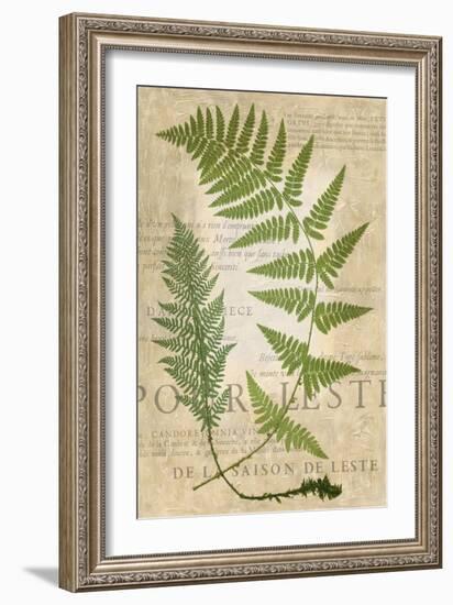 Fern Folio IV-Vision Studio-Framed Art Print