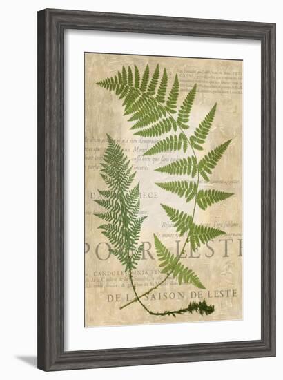 Fern Folio IV-Vision Studio-Framed Art Print