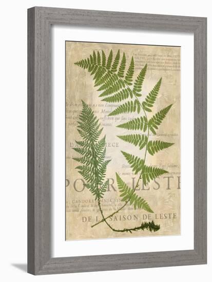 Fern Folio IV-Vision Studio-Framed Art Print