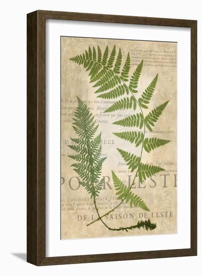 Fern Folio IV-Vision Studio-Framed Art Print