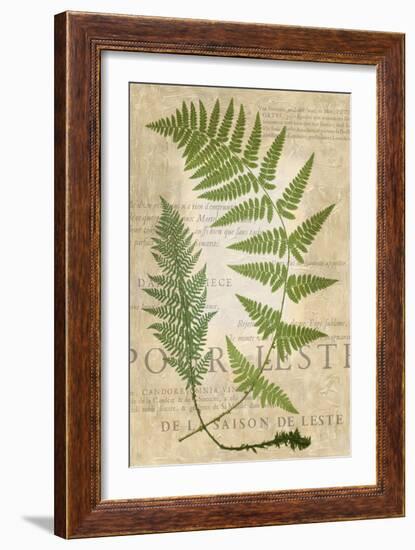 Fern Folio IV-Vision Studio-Framed Art Print