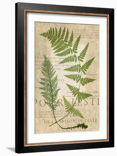 Fern Folio IV-Vision Studio-Framed Art Print