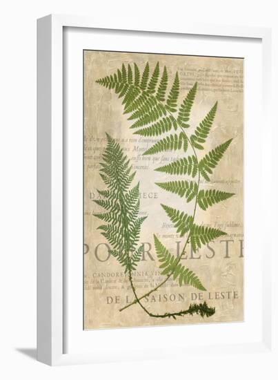 Fern Folio IV-Vision Studio-Framed Art Print