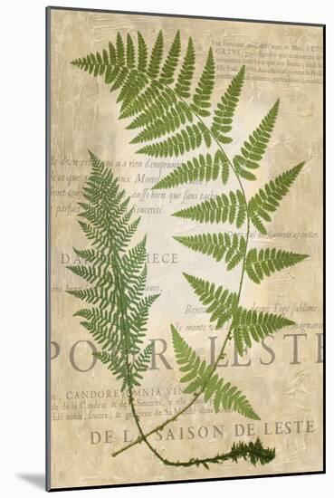 Fern Folio IV-Vision Studio-Mounted Art Print