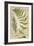 Fern Folio IV-Vision Studio-Framed Art Print