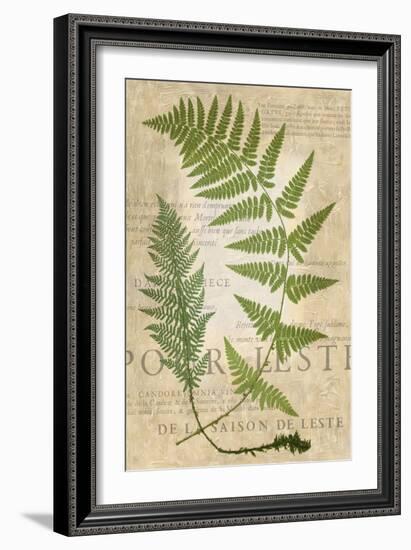 Fern Folio IV-Vision Studio-Framed Art Print