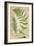 Fern Folio IV-Vision Studio-Framed Art Print