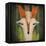 Fern Fox-Ryan Fowler-Framed Stretched Canvas