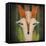 Fern Fox-Ryan Fowler-Framed Stretched Canvas