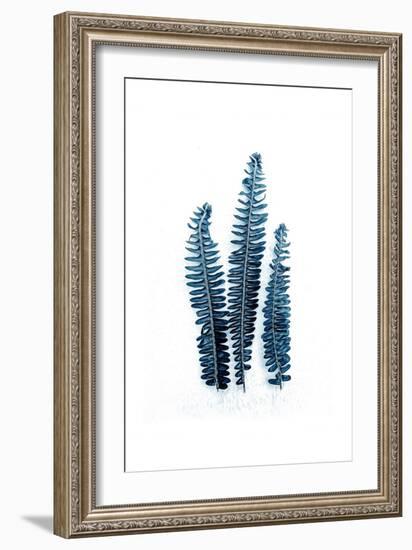 Fern Fronds Baltic Sea-Urban Epiphany-Framed Art Print