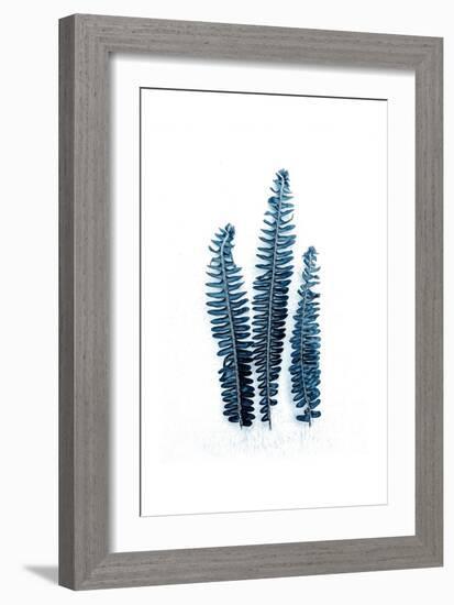 Fern Fronds Baltic Sea-Urban Epiphany-Framed Art Print