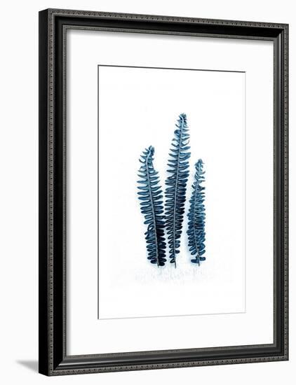 Fern Fronds Baltic Sea-Urban Epiphany-Framed Art Print