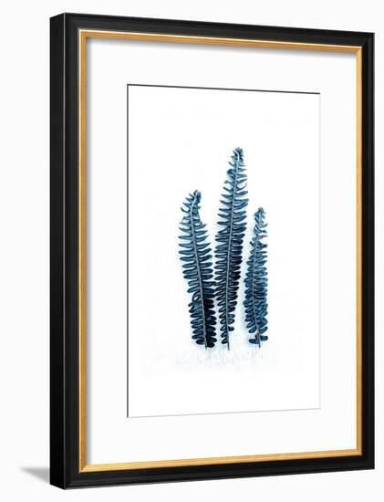 Fern Fronds Baltic Sea-Urban Epiphany-Framed Art Print