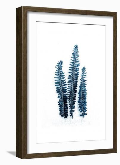 Fern Fronds Baltic Sea-Urban Epiphany-Framed Art Print