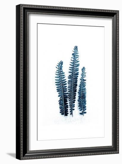 Fern Fronds Baltic Sea-Urban Epiphany-Framed Art Print