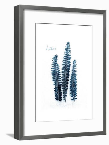 Fern Fronds Baltic Sea-Urban Epiphany-Framed Art Print