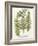 Fern Gathering I-Johann Wilhelm Weinmann-Framed Art Print