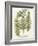 Fern Gathering I-Johann Wilhelm Weinmann-Framed Art Print