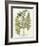 Fern Gathering I-Johann Wilhelm Weinmann-Framed Art Print