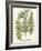 Fern Gathering I-Johann Wilhelm Weinmann-Framed Art Print