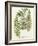 Fern Gathering I-Johann Wilhelm Weinmann-Framed Art Print